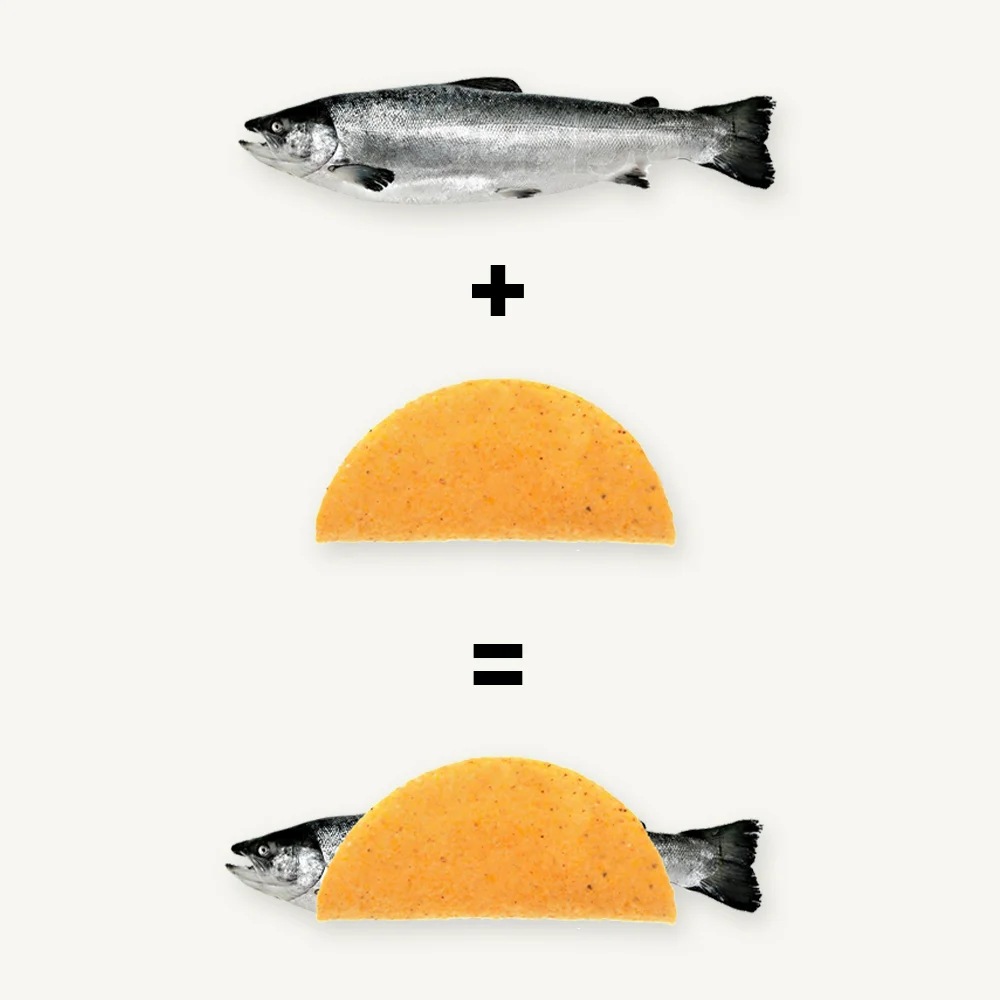 about fish taco.jpg