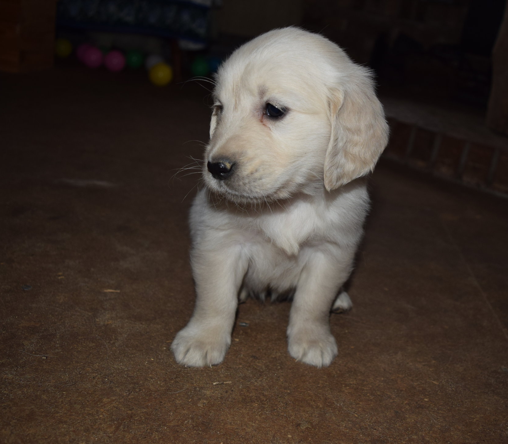 Starting to get sleepy...