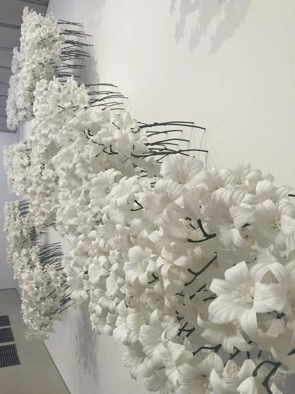 Maria Fernanda Cardoso 'Cemetery/Vertical Garden'
