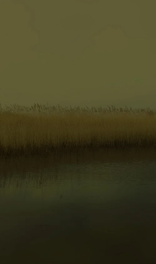 Nadav Kander , Water XI (Mucking towards Stanford-Le-Hope) 2017. Image courtesy of the artist