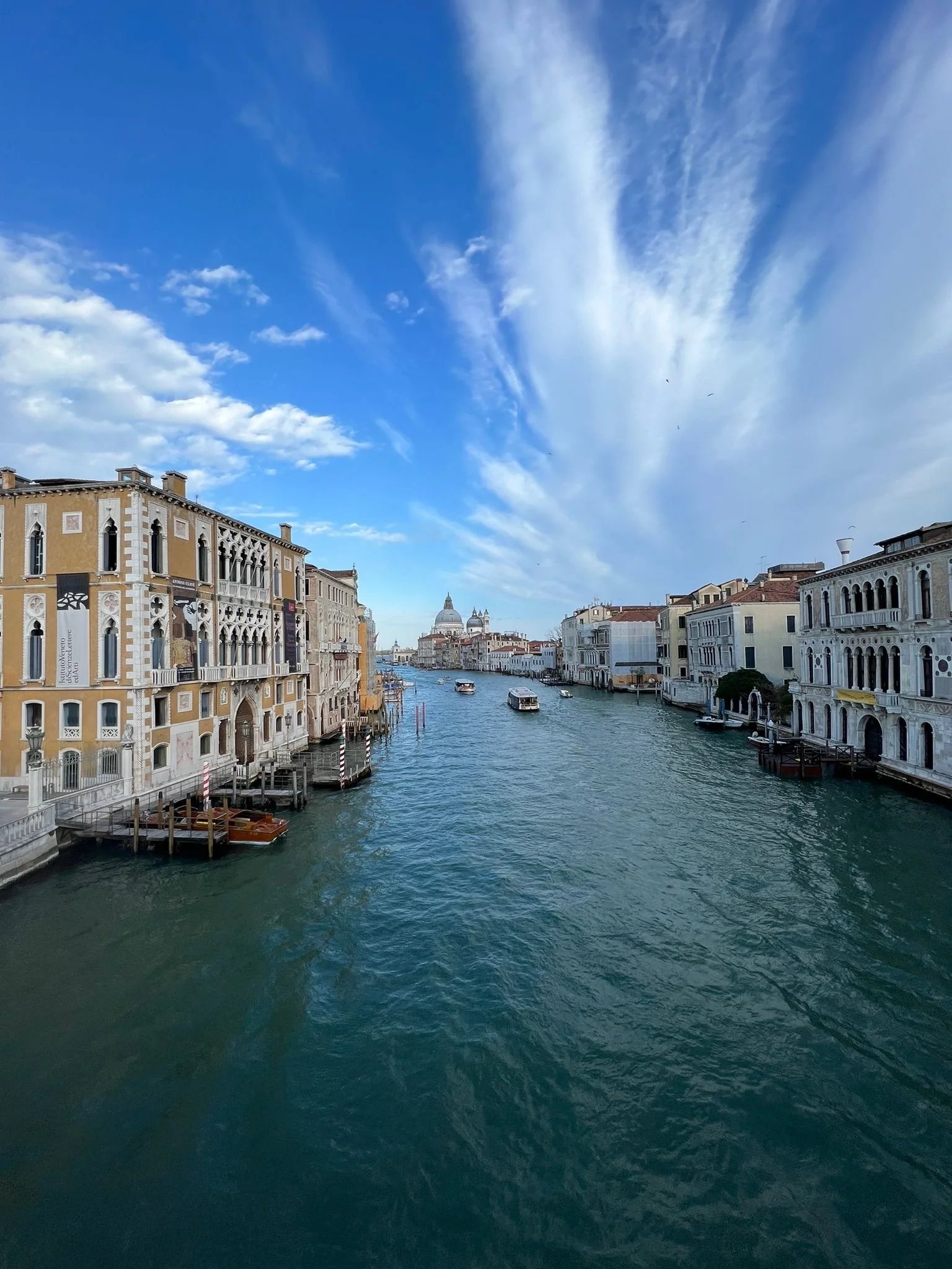 2022 Venice Biennale - The Art Partners View
