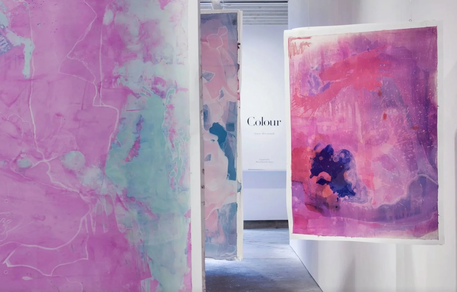 Stacie McCormick, Colour, installation view