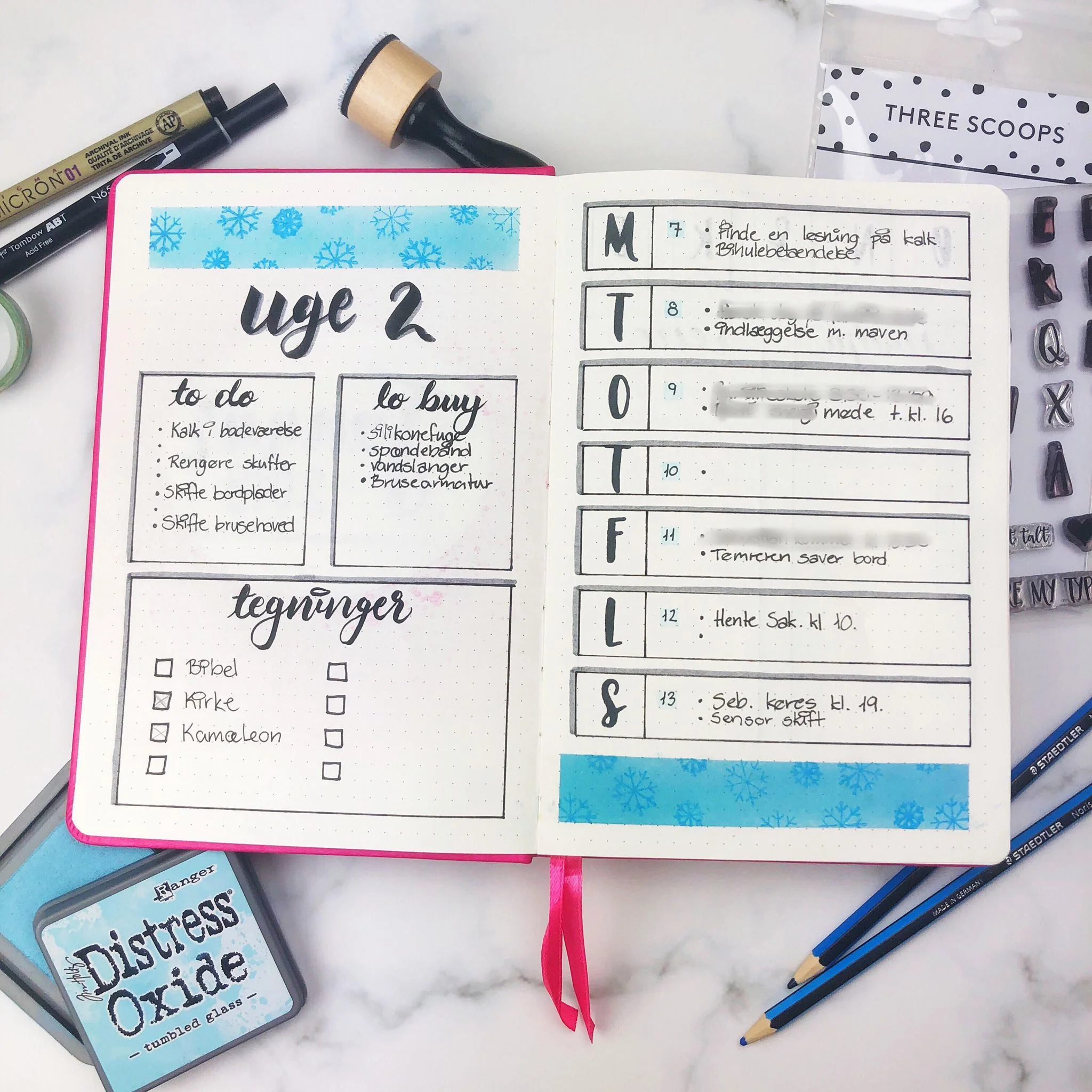 ThreeScoops_Naja_bujo.jpg