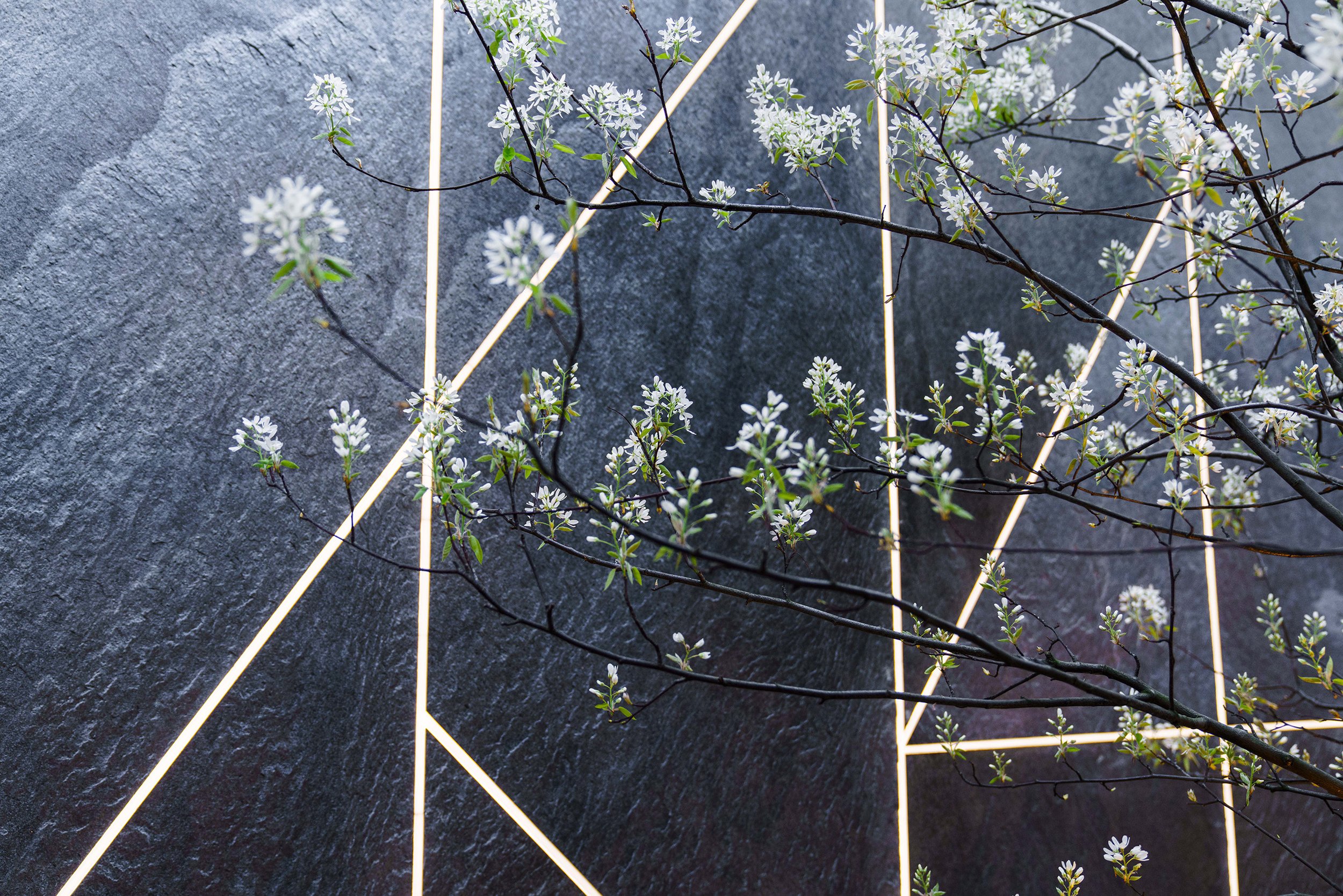 tom_simpson_design_court_yard-06.jpg