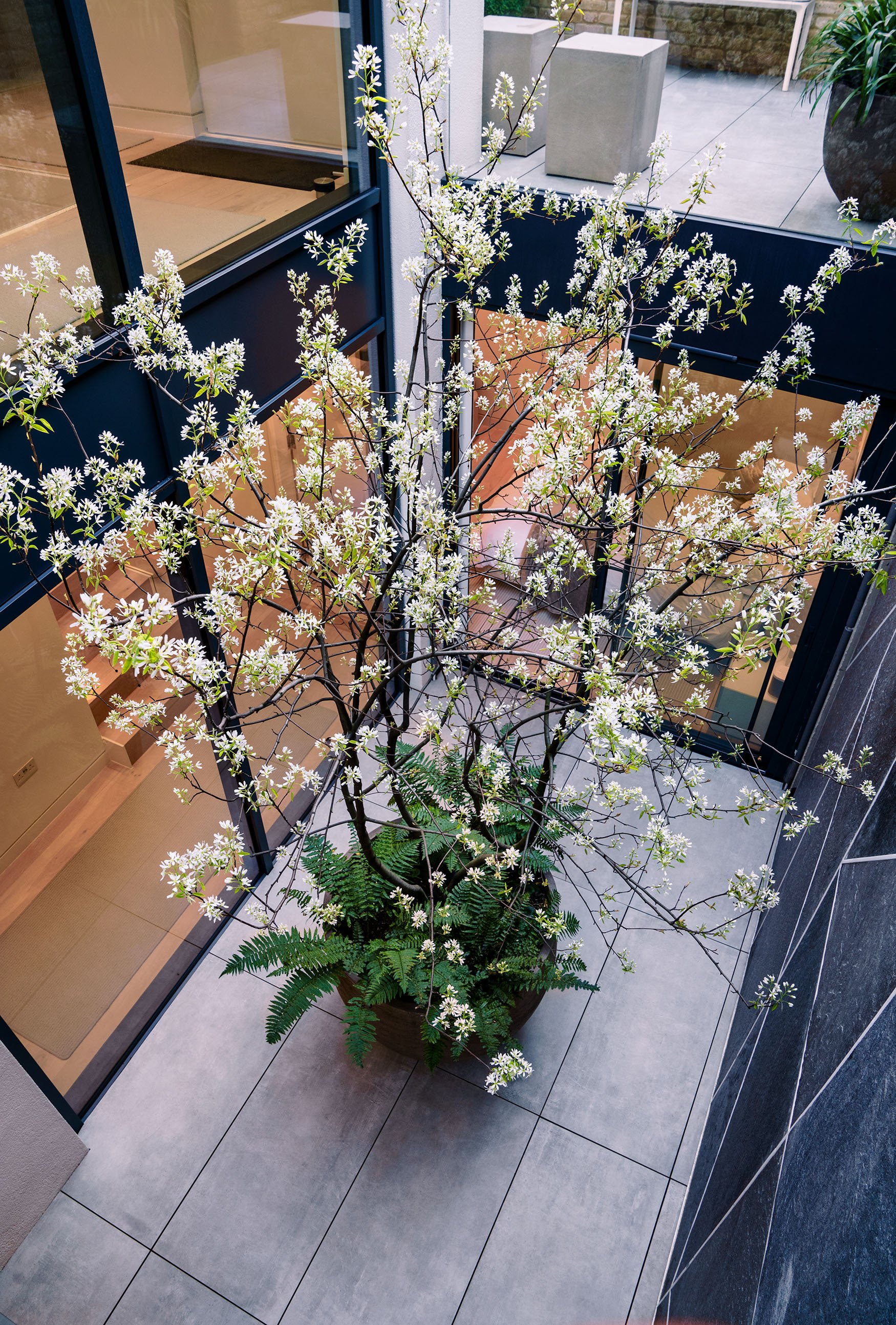 tom_simpson_design_court_yard-00.jpg