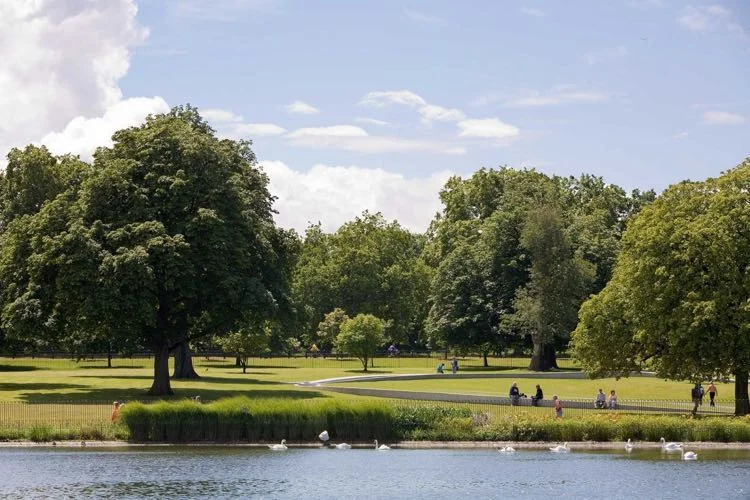 london hyde park.jpg