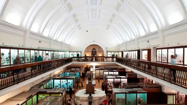 horniman museum.jpg