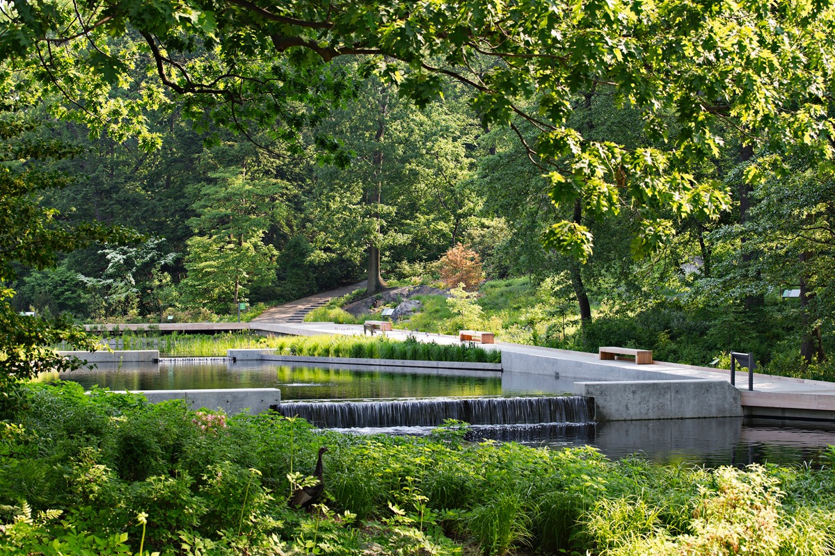 NYBotanicalGarden_NativePlantGarden.jpg