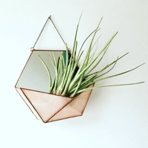 house of kind ethical homeware brand.png