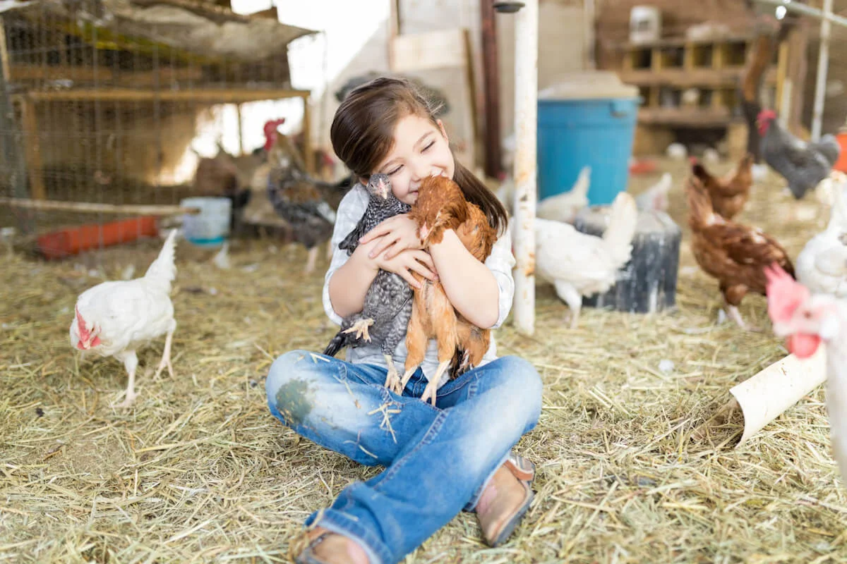 city farms London.jpg