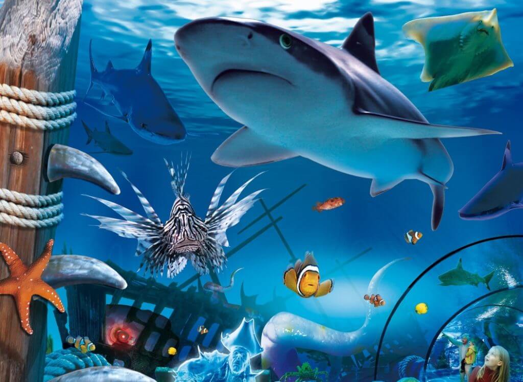 visit SEA-LIFE centre with baby in London.jpg