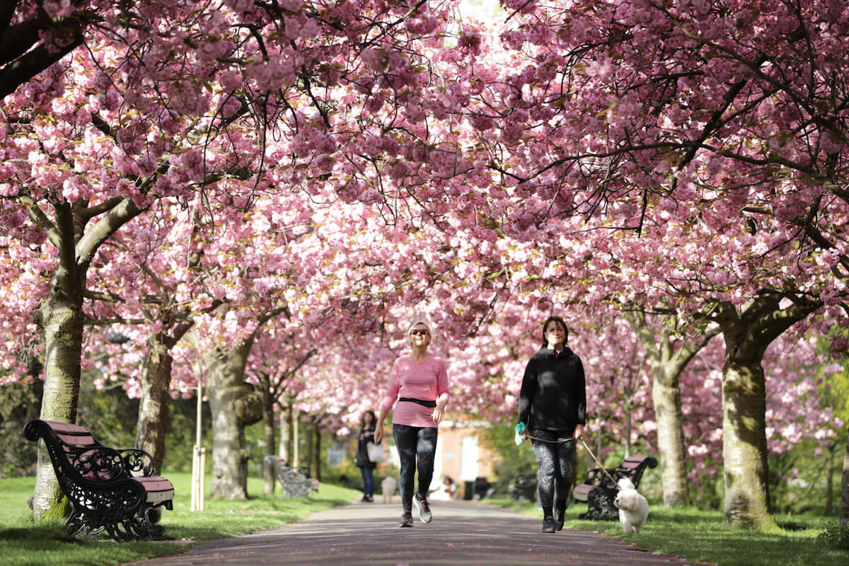 greenwich park.jpg