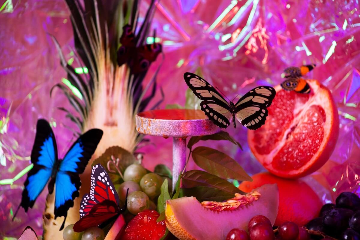 Butterfly Biosphere.jpg
