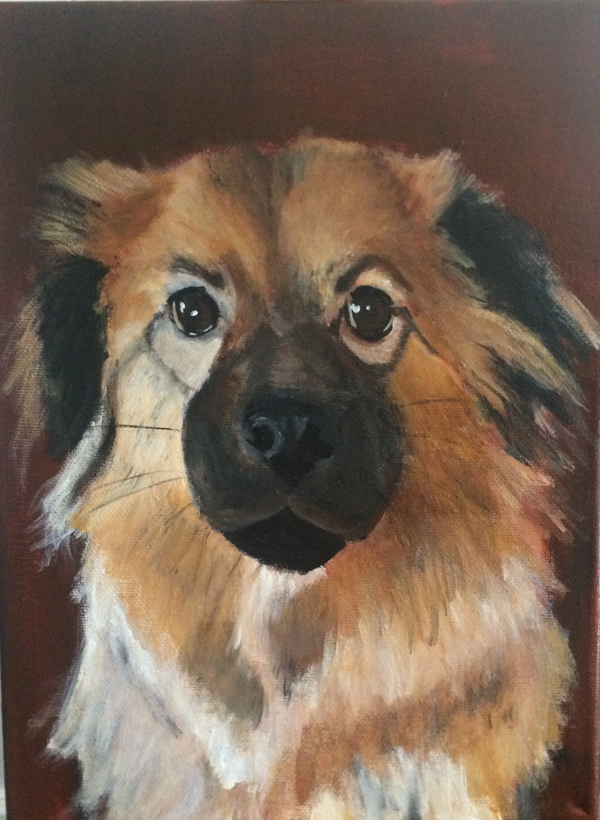 Darcie