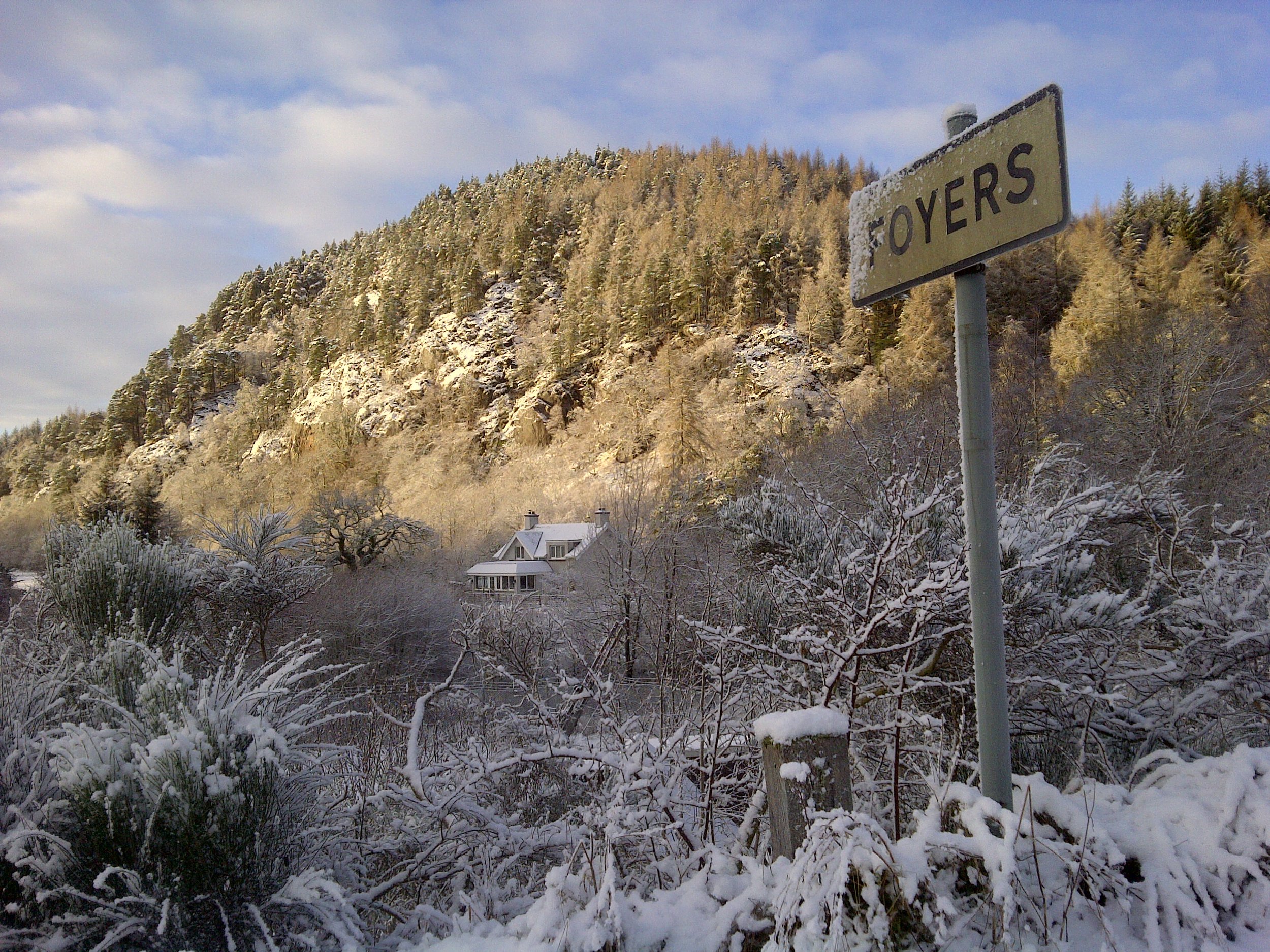 A view of the National Forest Estate in Foyers