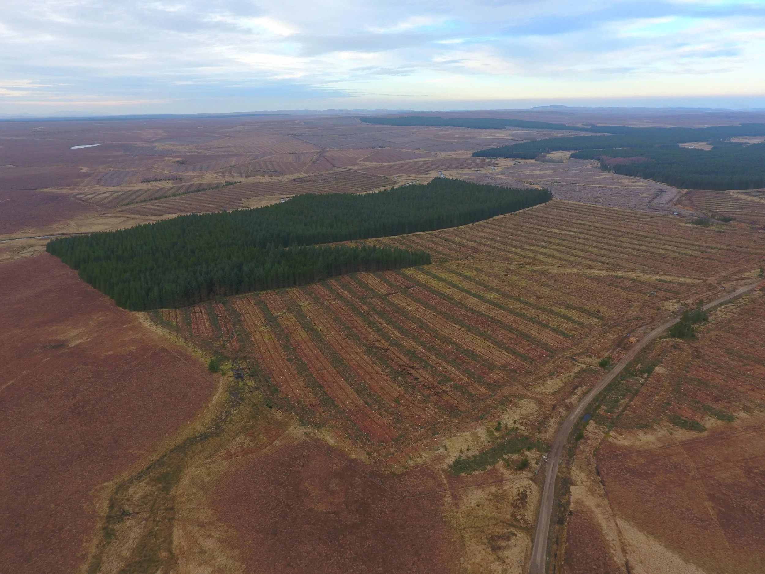 Peatland restoration funding
