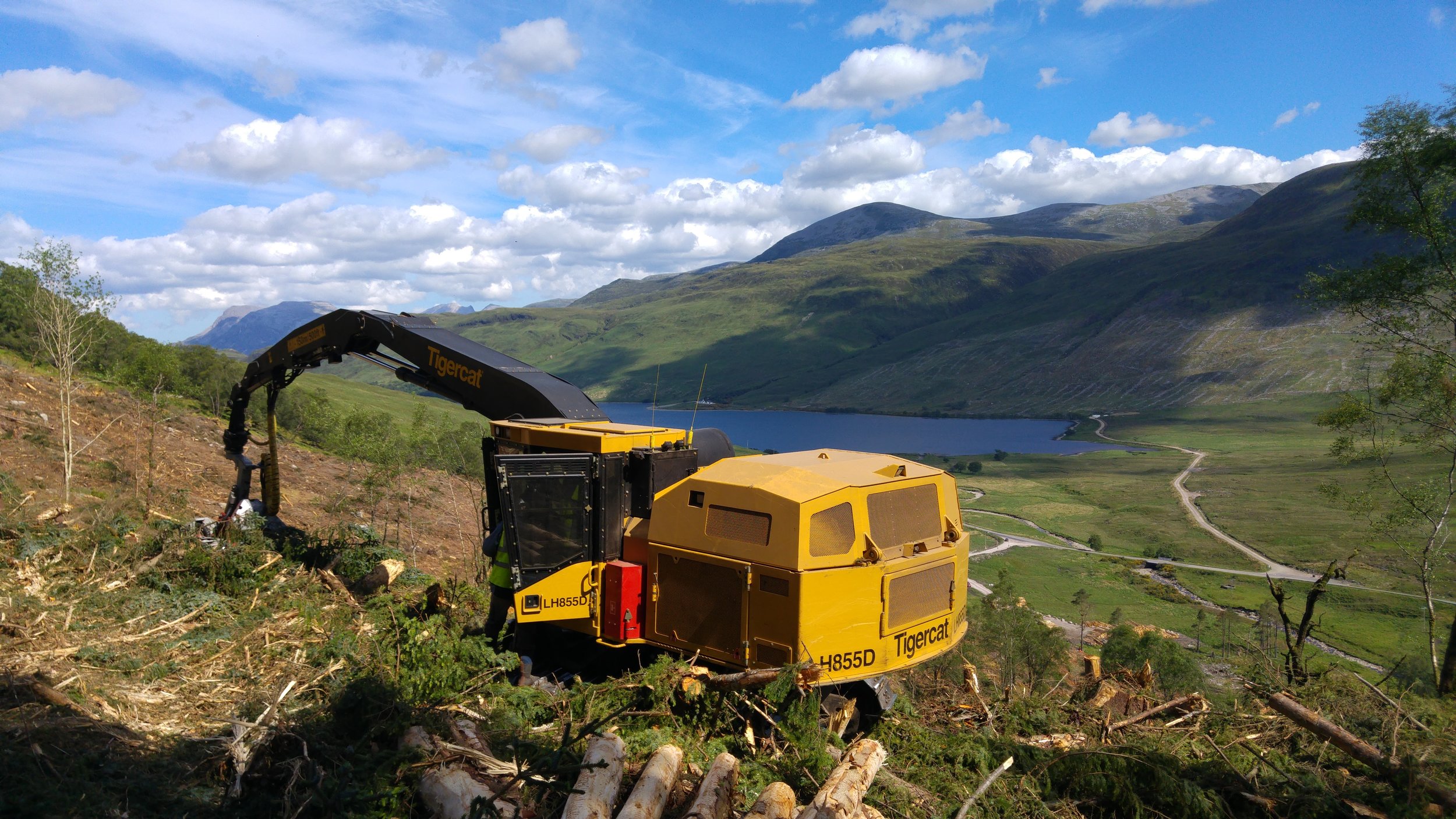 Tigercat harvester on steep ground