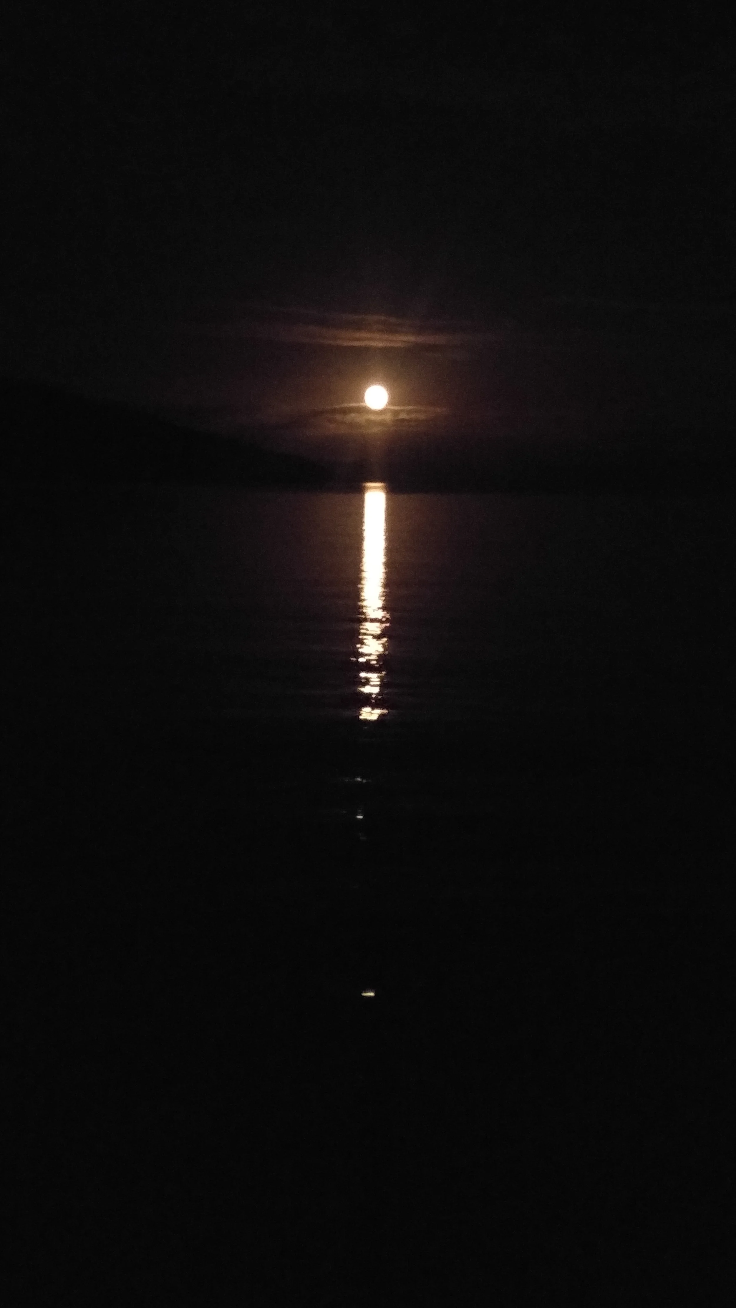 For the final image, here's a picture of the so called Beaver Moon (**snigger**) on the 5 November. It was the colour of liquid amber and rose very quickly into the sky. 