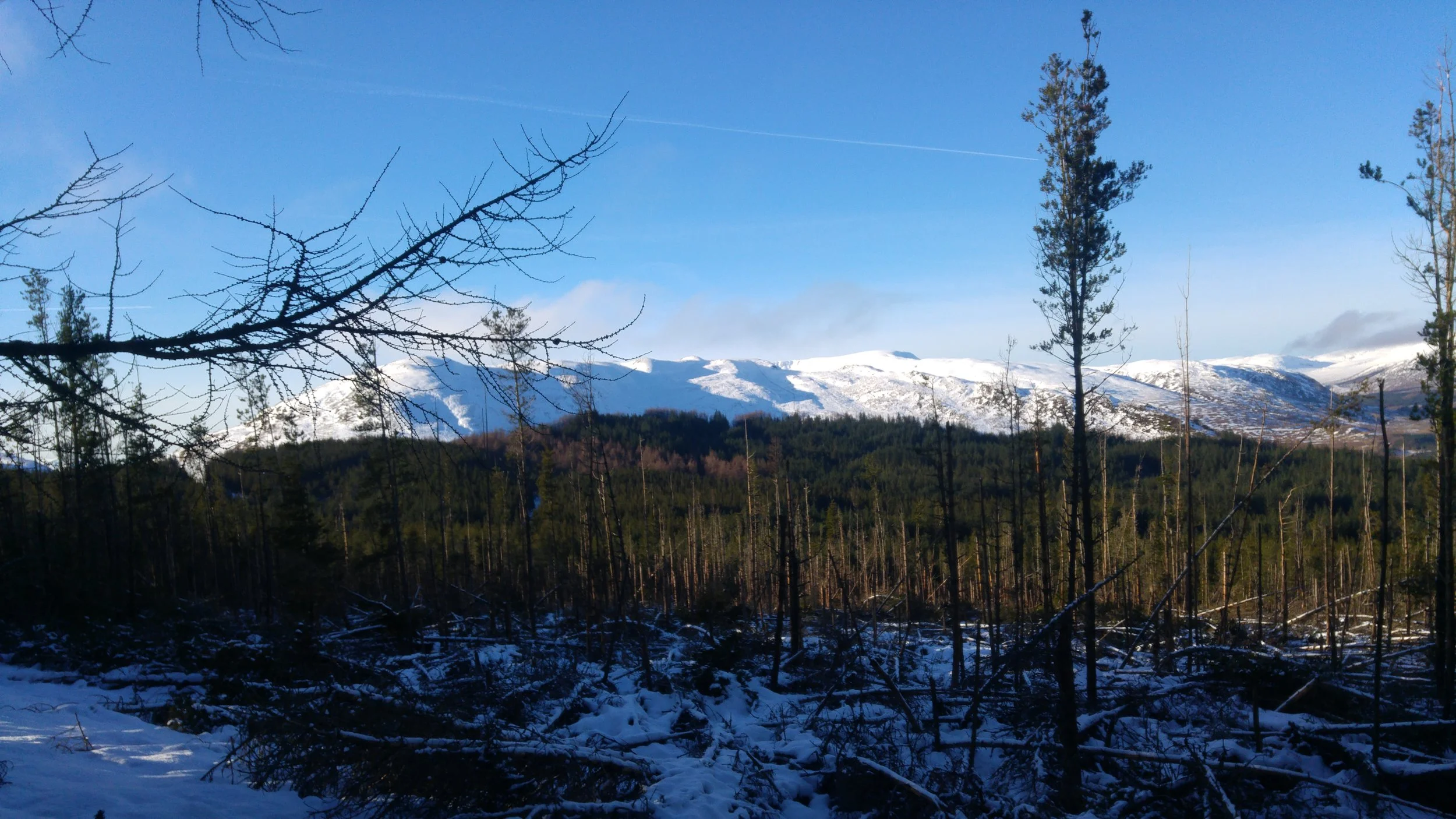 More timber measurement. More snow.