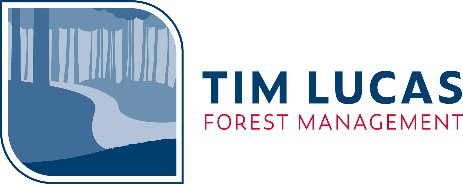 Tim Lucas Forest Management