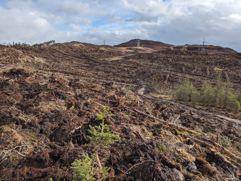 New! Details of upcoming work opportunities for forestry contractors/suppliers.