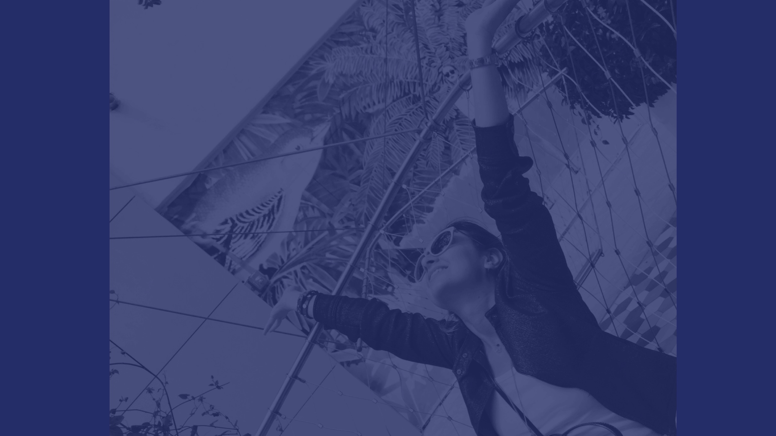 hands in the air .jpg