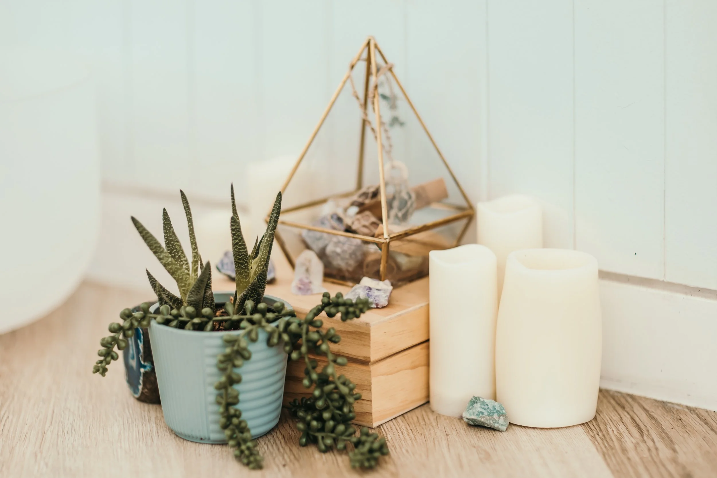 yoga studio in Bradenton Florida interio