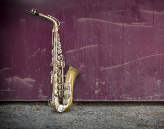 Singer/Guitar, Sax, Ukulele, Violin Player