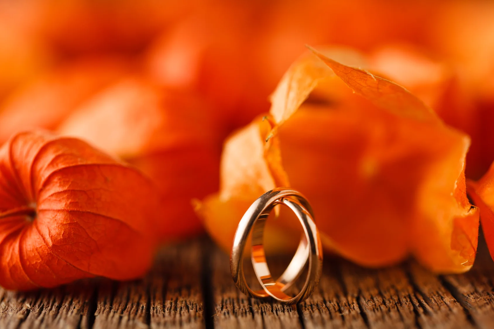 Autumn wedding rings