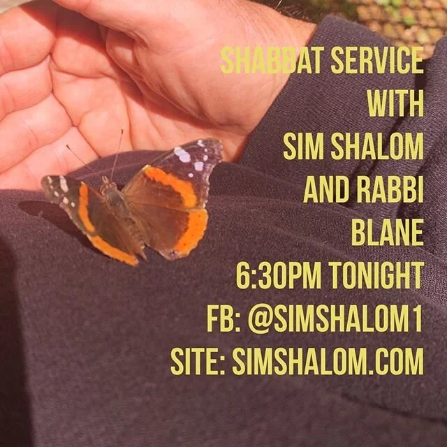 Join me tonight at 6:30pm!