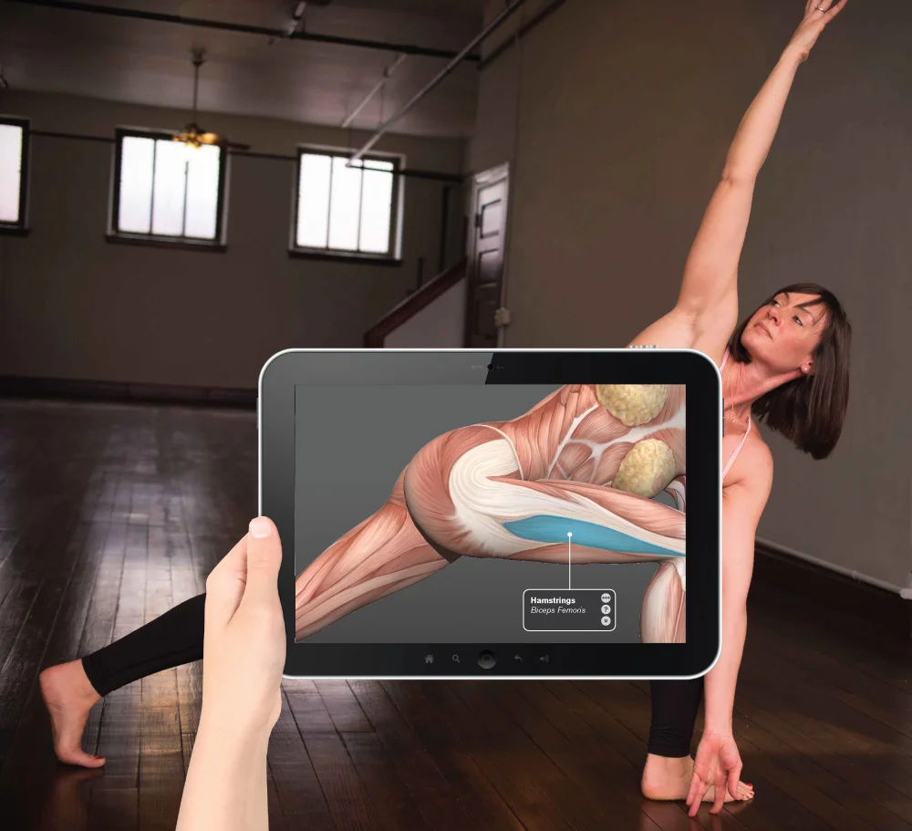 yoganatomy.jpg