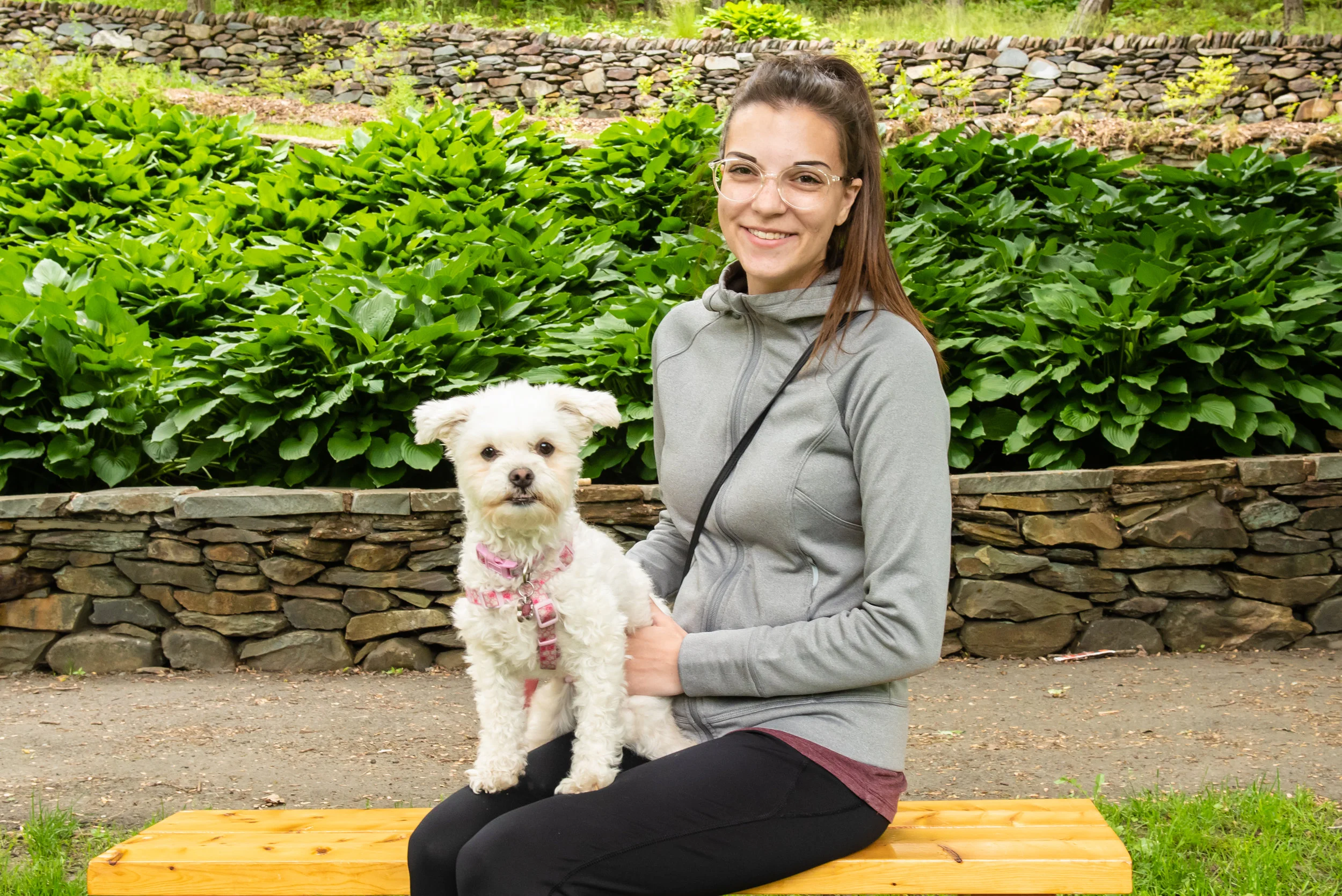 BarksInThePark-15.jpg
