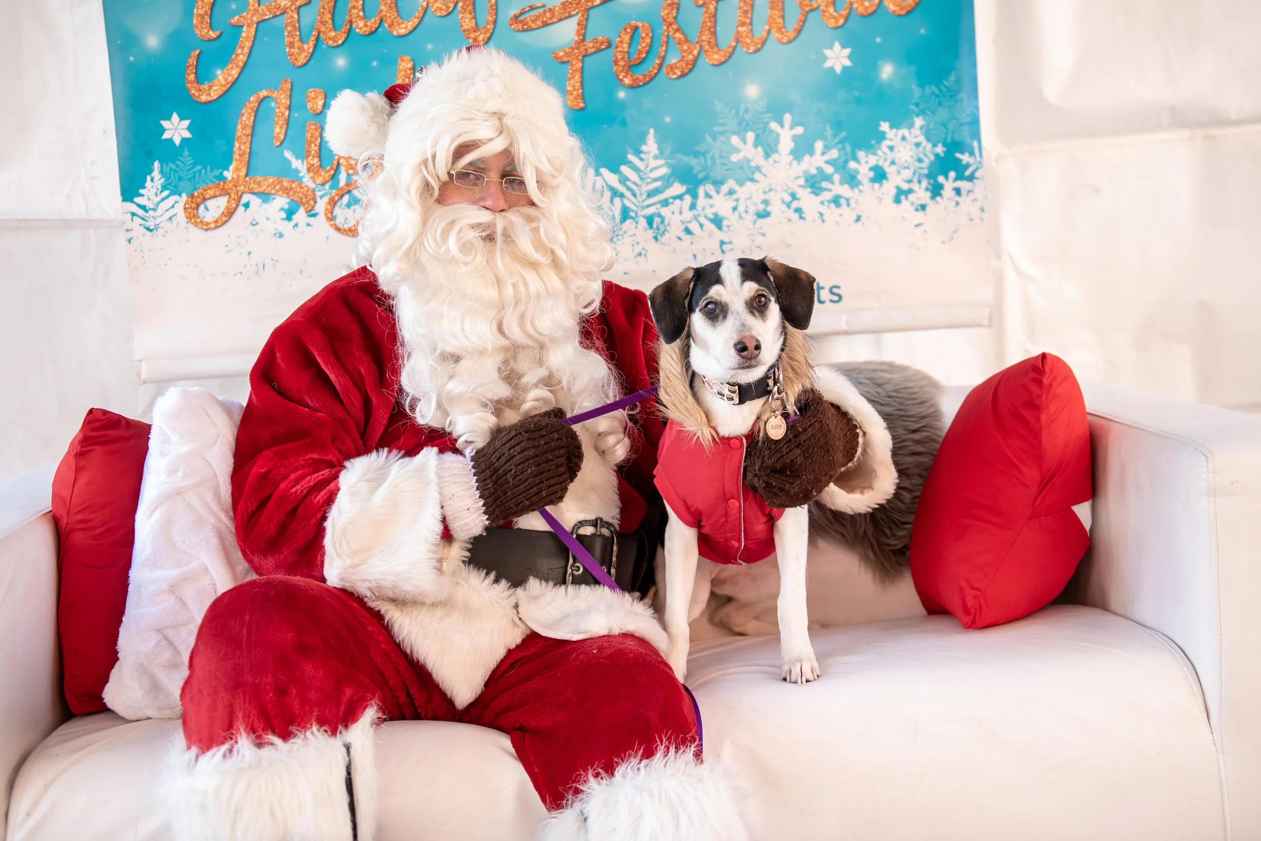 DowntownHalifax - Santa Pet Photos 2018-11.jpg