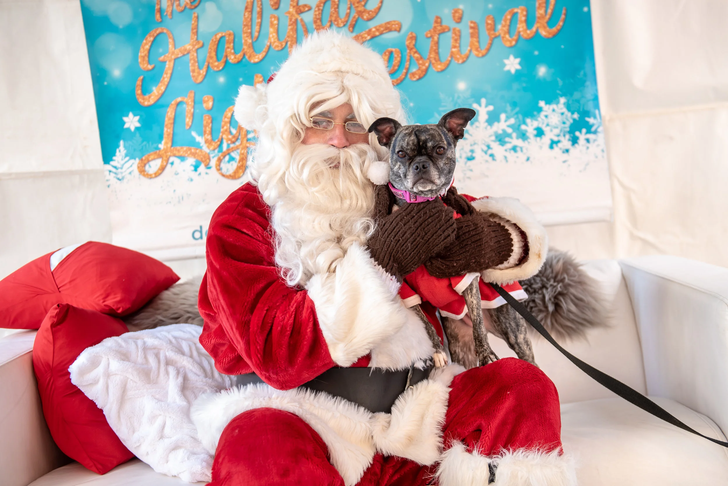 DowntownHalifax - Santa Pet Photos 2018-34.jpg