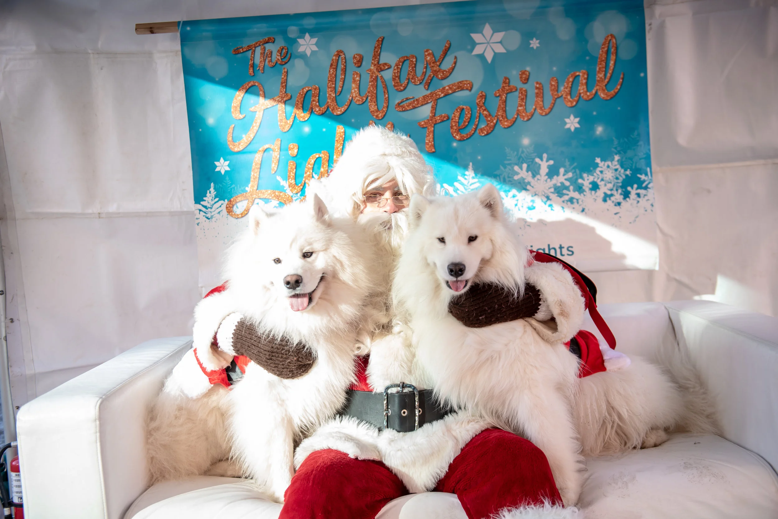 DowntownHalifax - Santa Pet Photos 2018-59.jpg