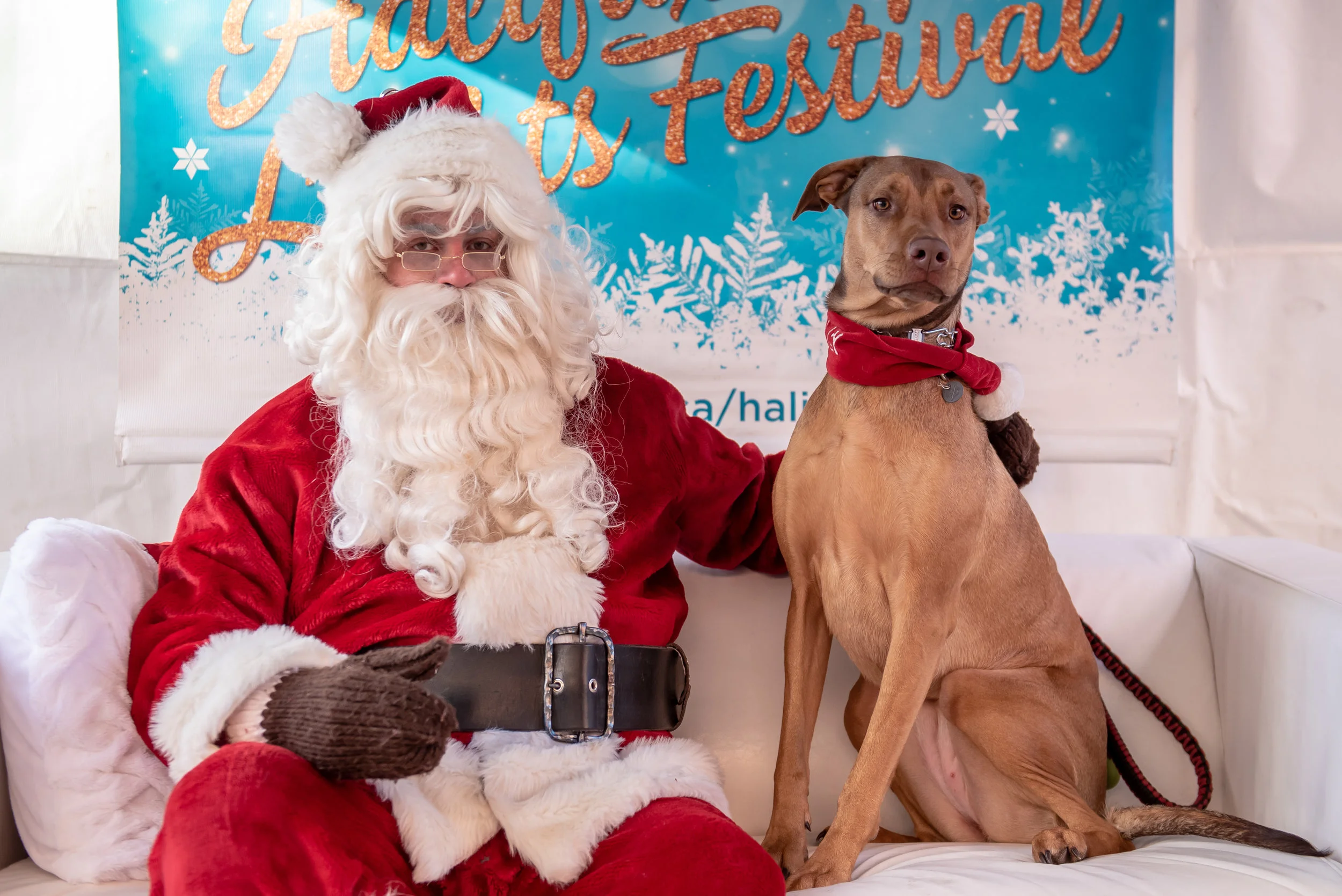 DowntownHalifax - Santa Pet Photos 2018-82.jpg