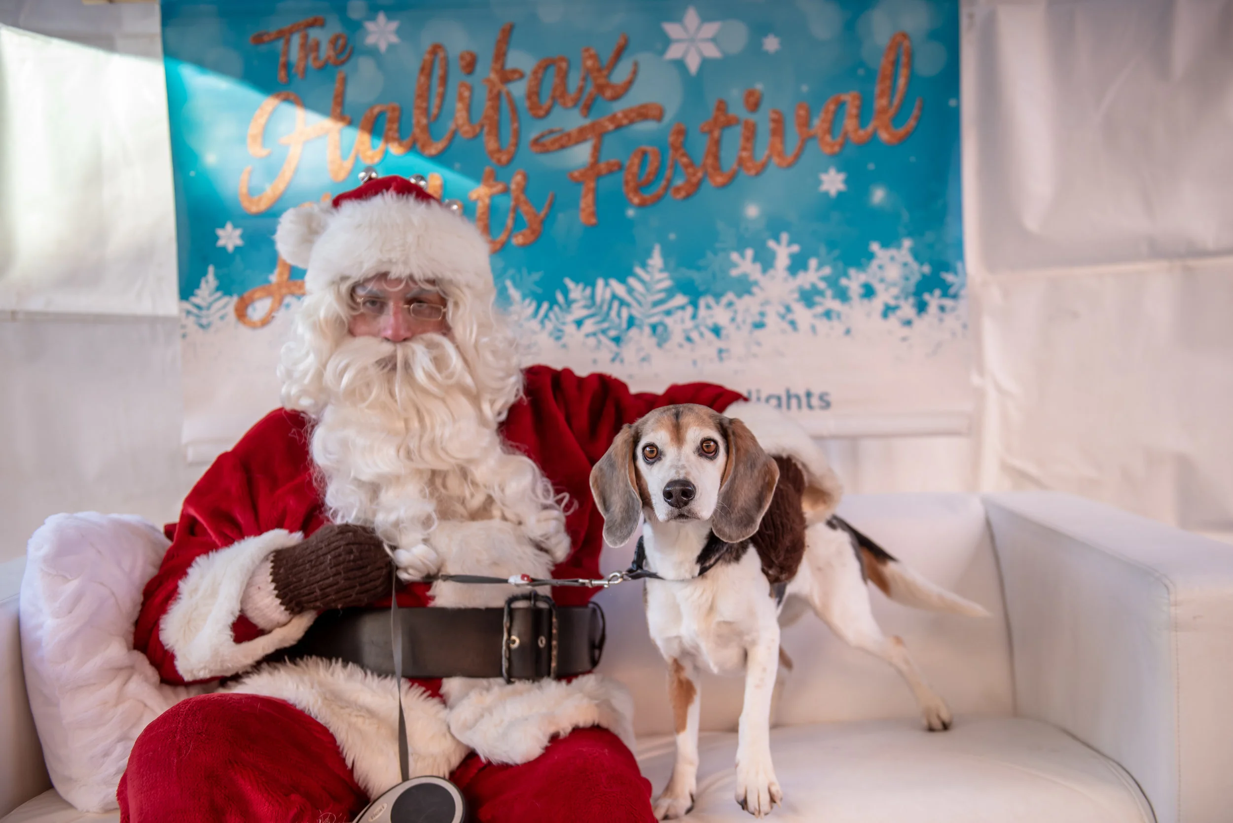 DowntownHalifax - Santa Pet Photos 2018-83.jpg