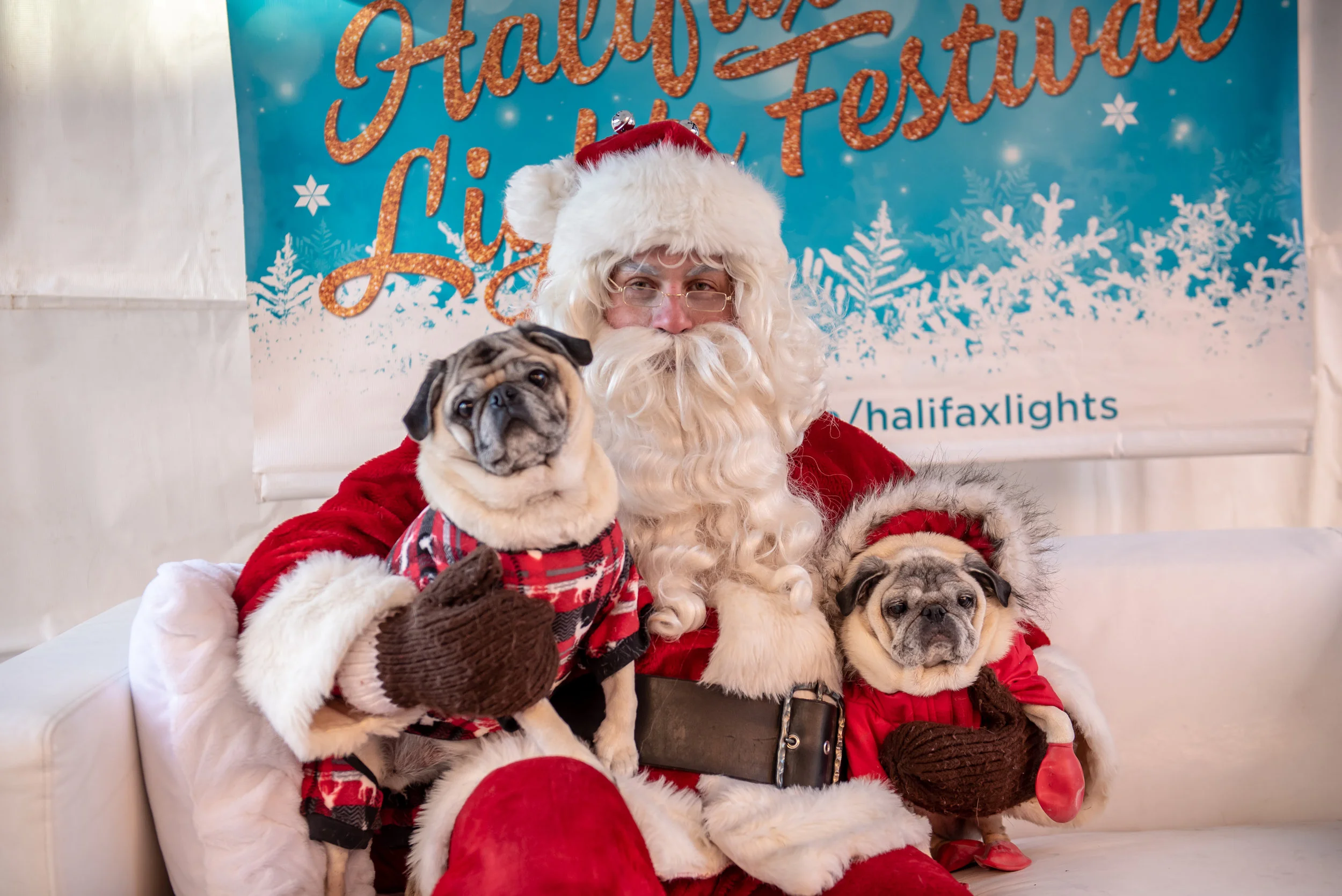 DowntownHalifax - Santa Pet Photos 2018-86.jpg