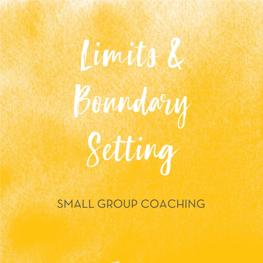 Limits & Boundary Setting Small Group Coaching 