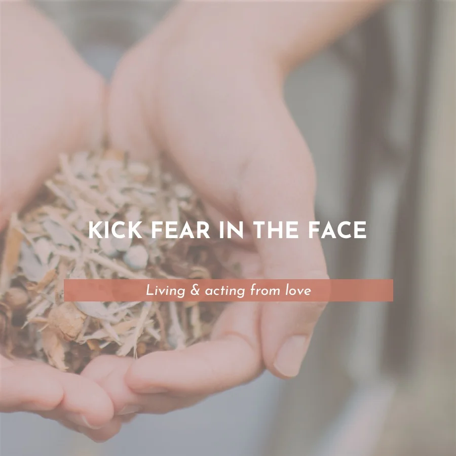 Kick Fear in the Face