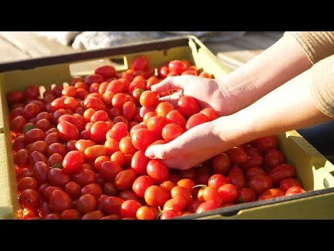Wegmans and Family Farm Neighbors Spiral Path Farm