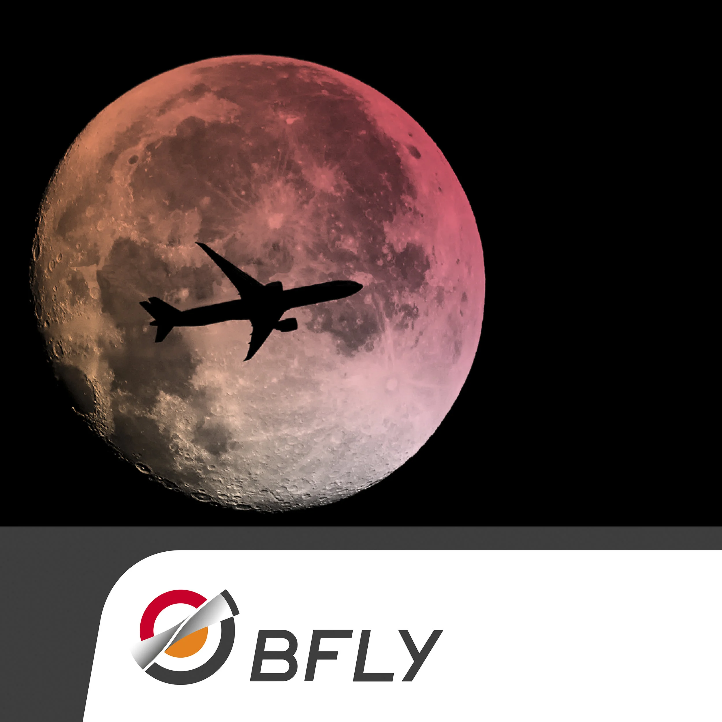 BFly_systeme-information-personnalisable-collaboration.jpg