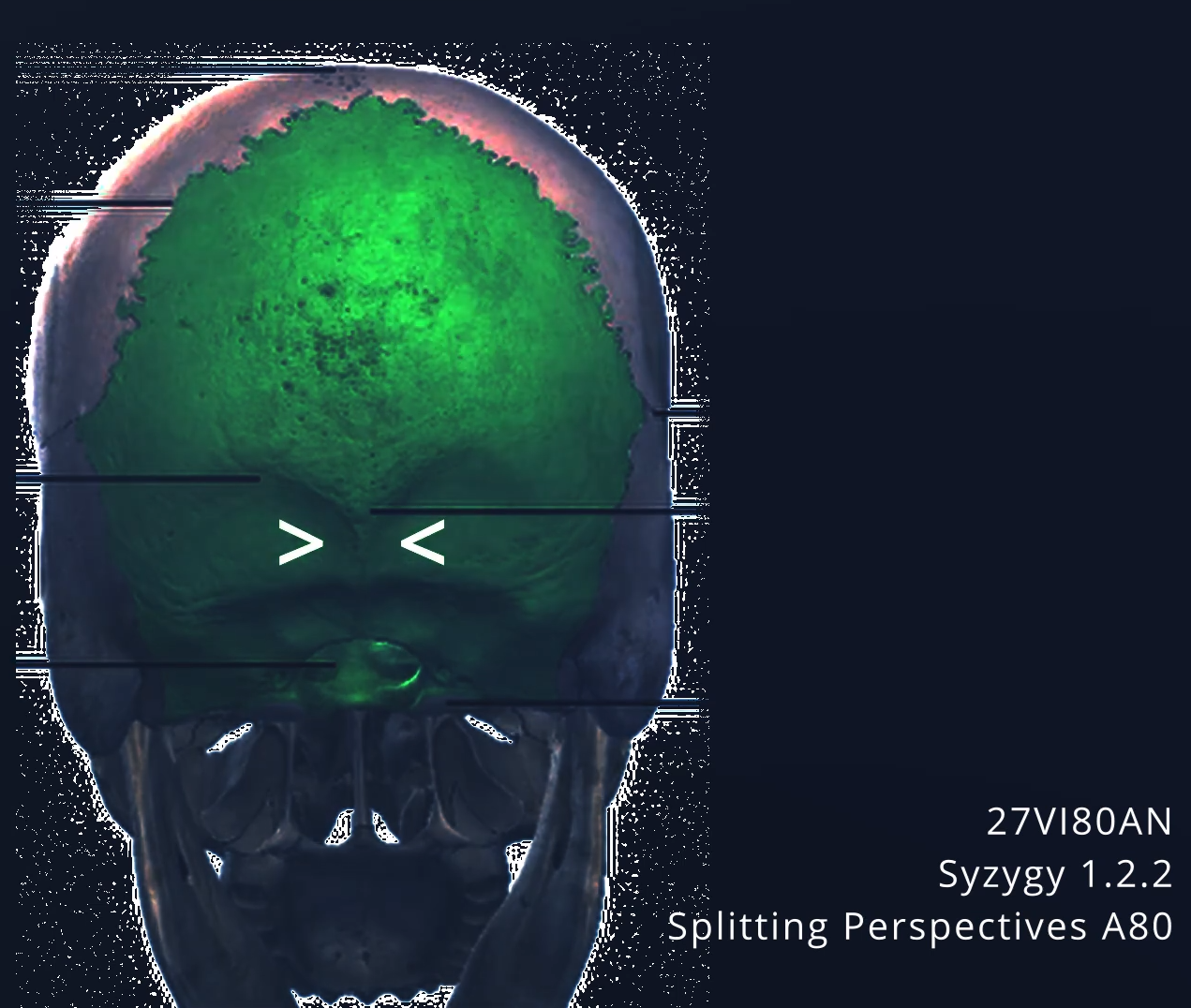 Syzygy 1.2.2 - Cardinality and Rotation