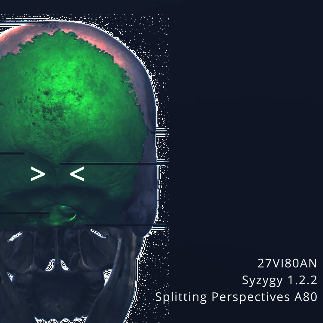 Syzygy 1.2.2 - Splitting Perspectives
