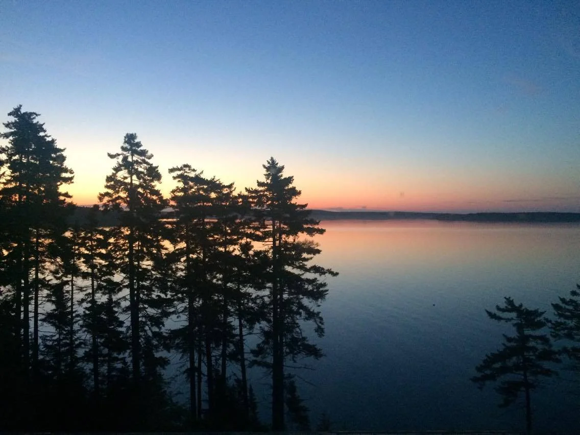 sunrise trees.jpg