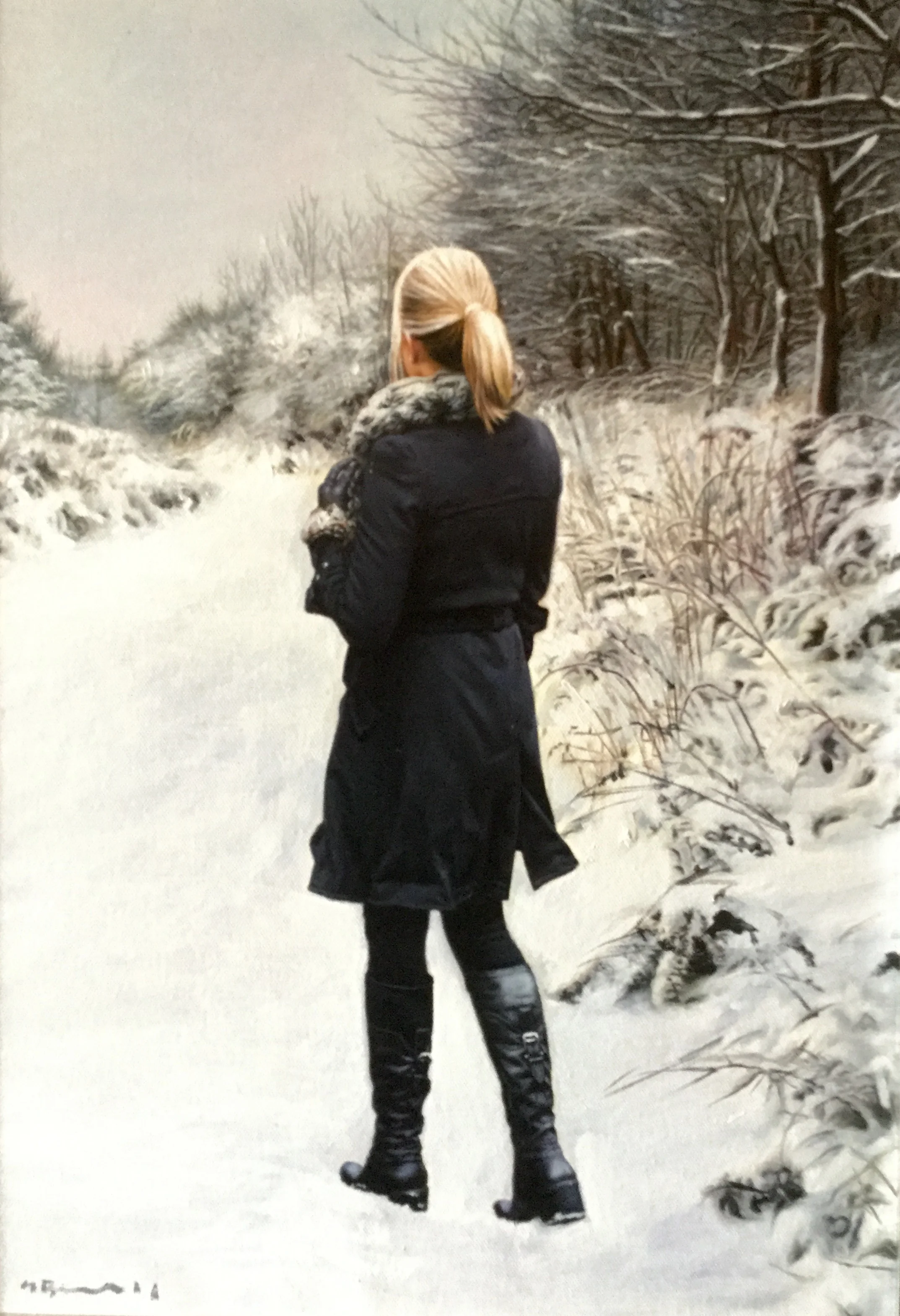 Walk in a Winters Forest