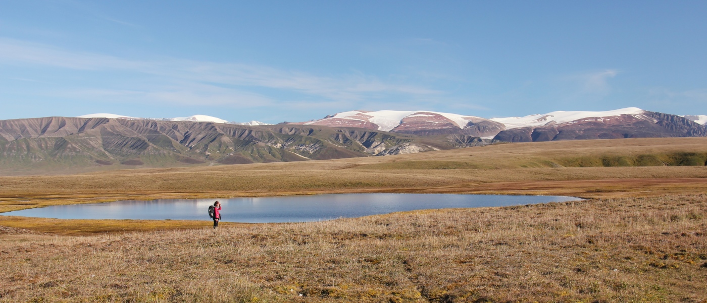Bylot Island_8 credit Christian Marcotte.jpg