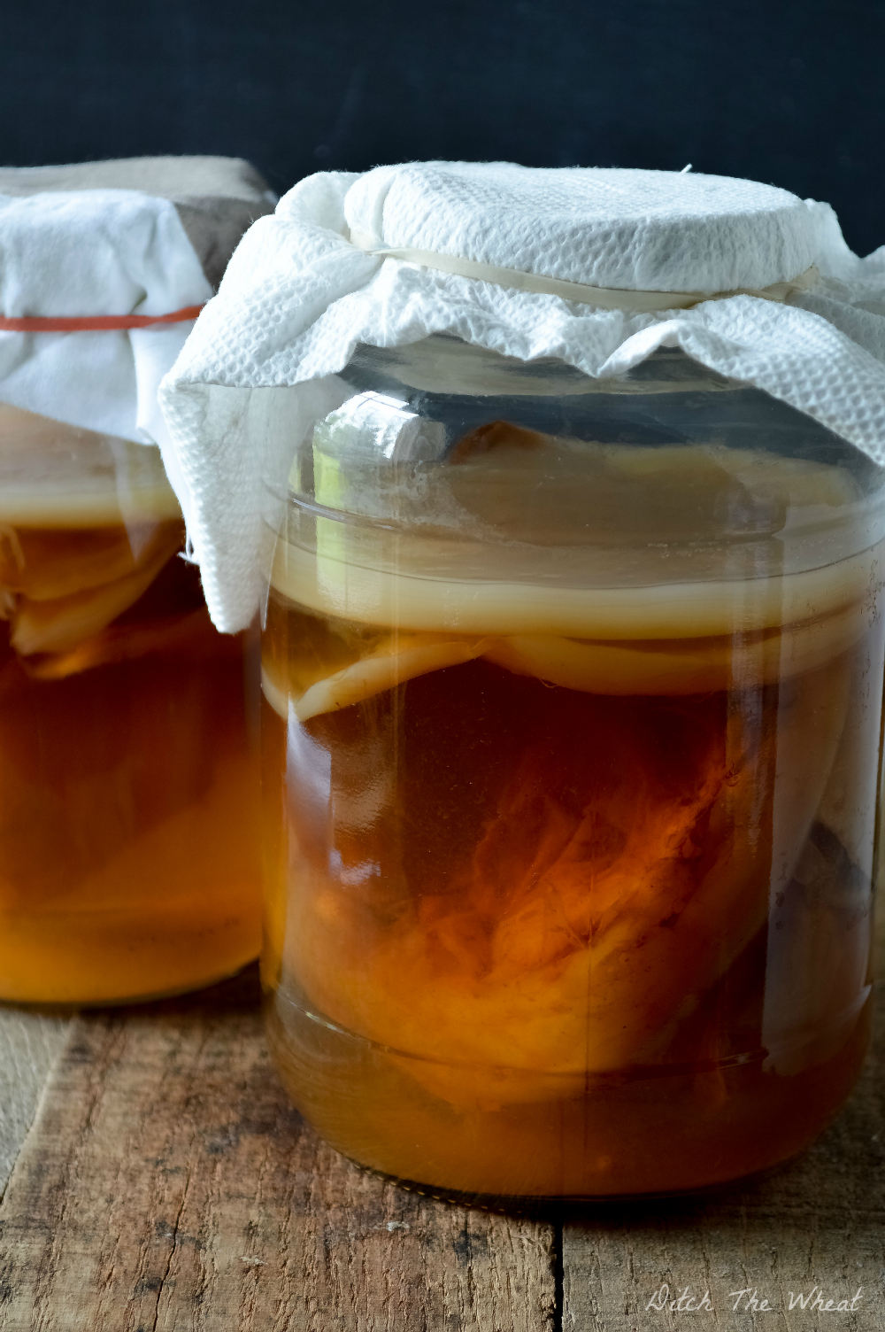http://ditchthewheat.com/how-to-grow-a-kombucha-scoby-from-bottled-kombucha/