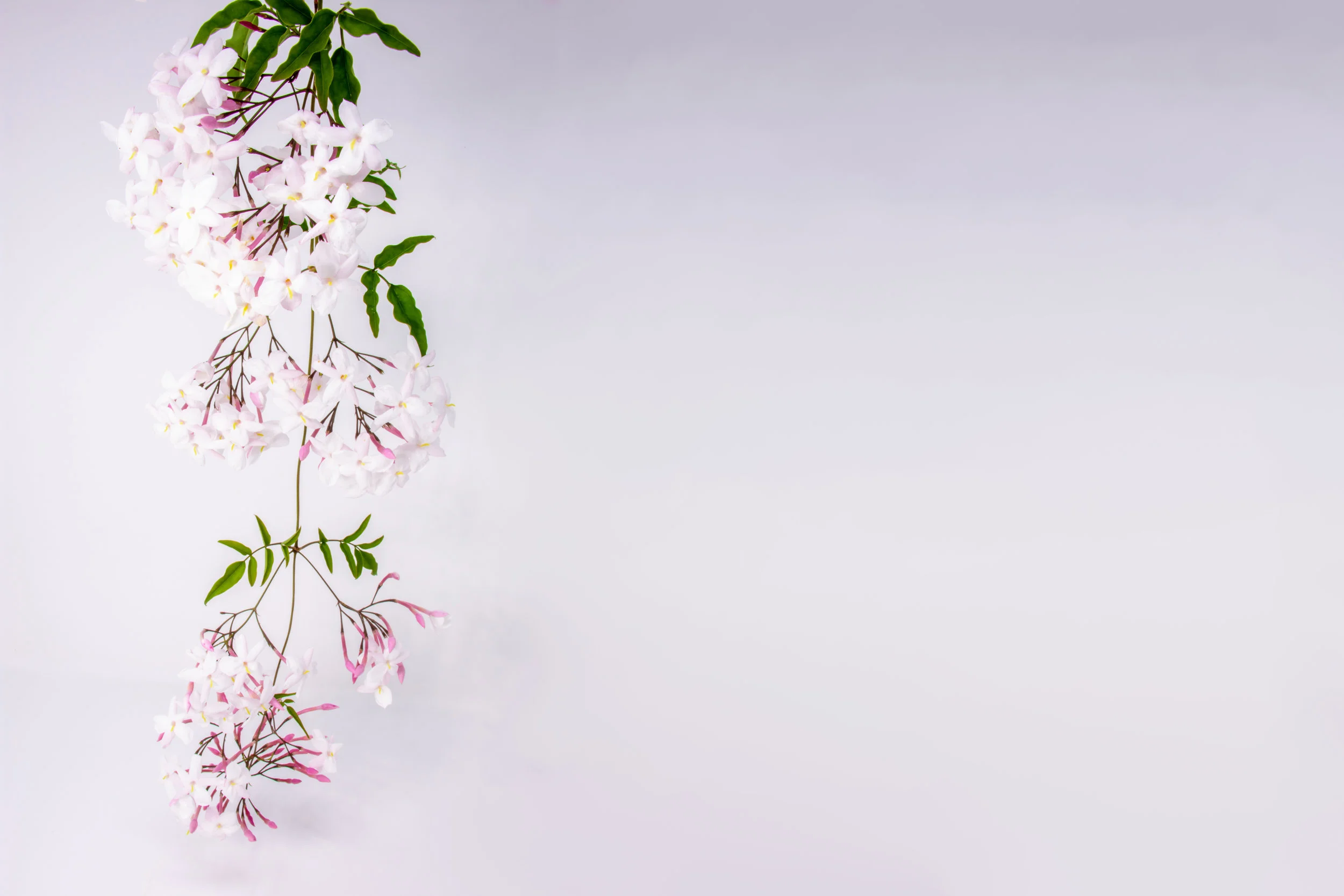 How your cycle affects your fertility and what to do about it.
