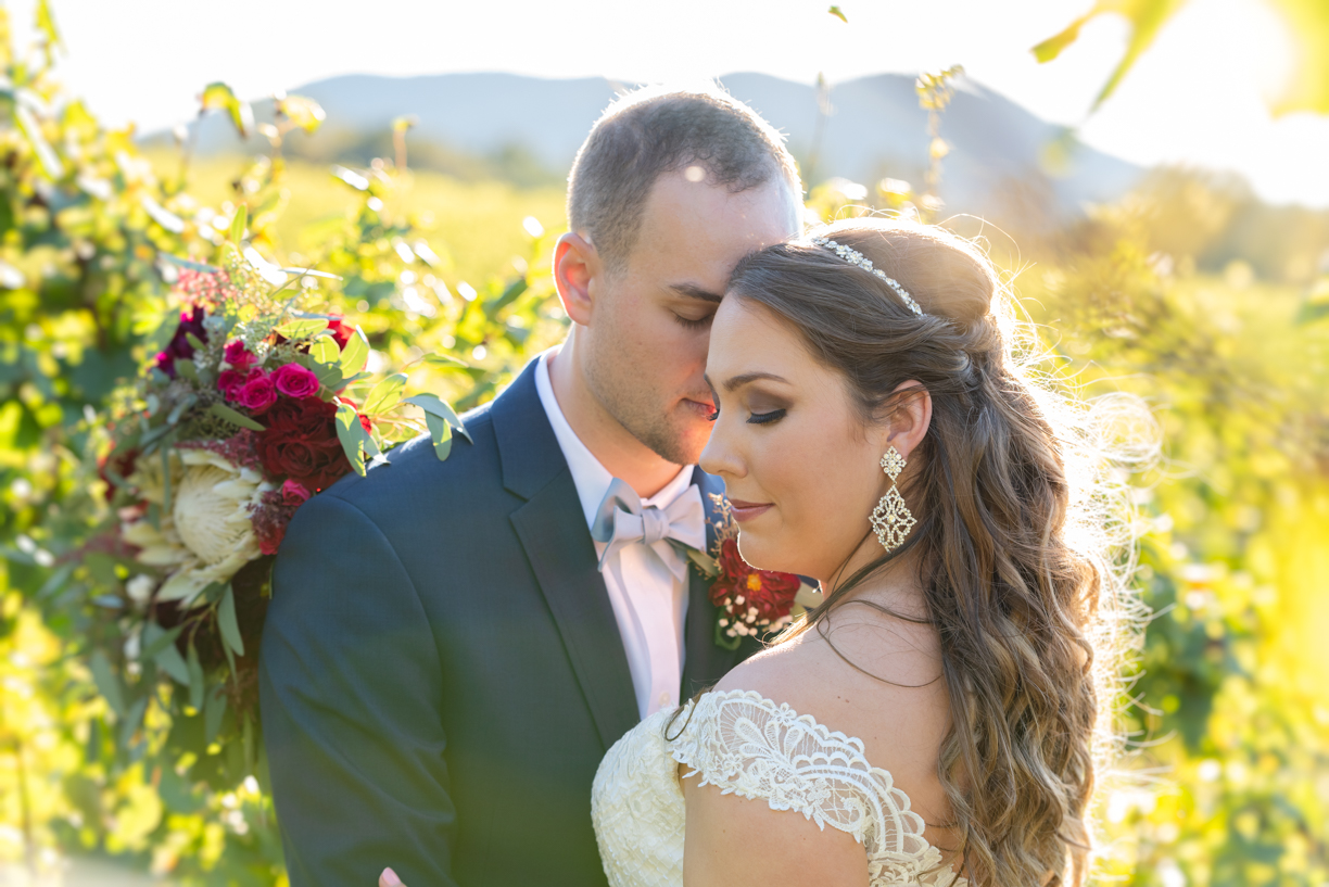 Just married photos at Round Peak Vineyards.